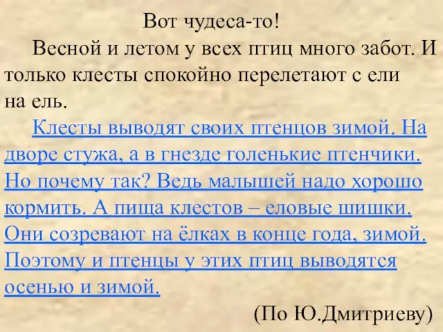 Вот чудеса-то! Весной и летом у всех птиц много забот. И только