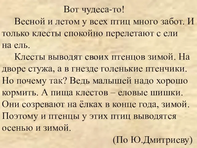 Вот чудеса-то! Весной и летом у всех птиц много забот. И только