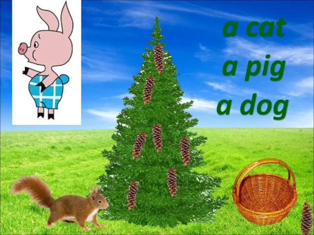 a cat a pig a dog