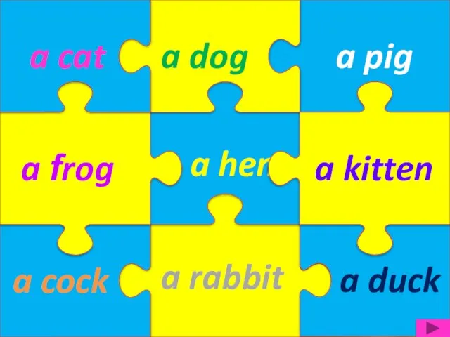 a rabbit a hen a cock a pig a dog a frog