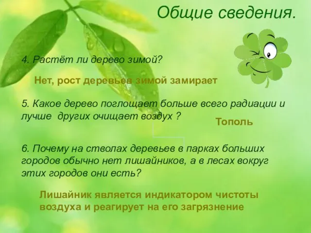 Общие сведения. 4. Растёт ли дерево зимой? 5. Какое дерево поглощает больше