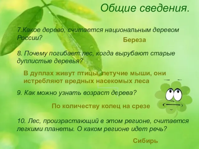 Общие сведения. 9. Как можно узнать возраст дерева? 7.Какое дерево, считается национальным