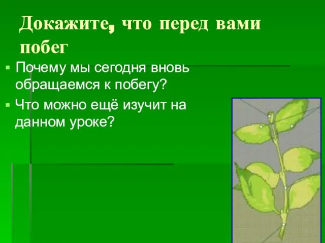 Докажите, что перед вами побег Почему мы сегодня вновь обращаемся к побегу?