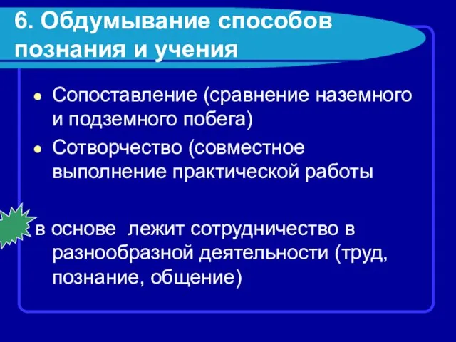 6. Обдумывание способов познания и учения Сопоставление (сравнение наземного и подземного побега)