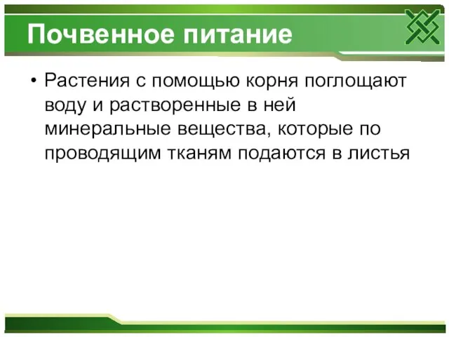 Почвенное питание Растения с помощью корня поглощают воду и растворенные в ней