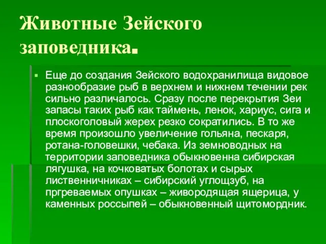 Животные Зейского заповедника. Еще до создания Зейского водохранилища видовое разнообразие рыб в