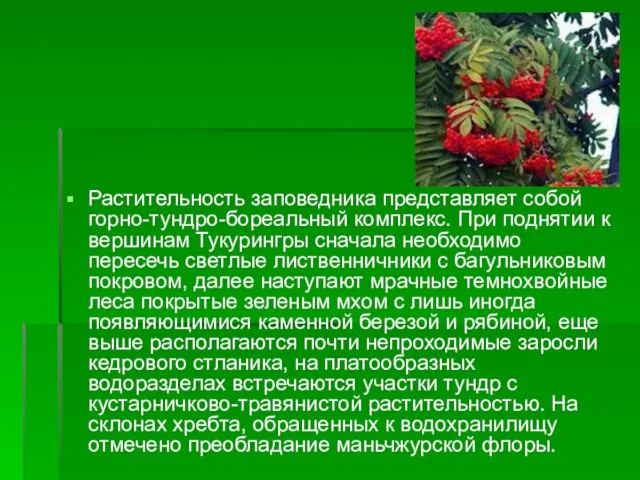 Растительность заповедника представляет собой горно-тундро-бореальный комплекс. При поднятии к вершинам Тукурингры сначала