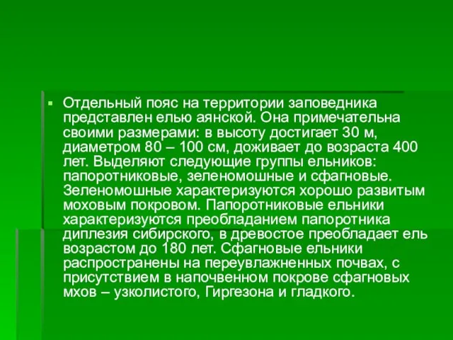 Отдельный пояс на территории заповедника представлен елью аянской. Она примечательна своими размерами: