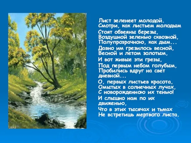 Лист зеленеет молодой. Смотри, как листьем молодым Стоят обвеяны березы, Воздушной зеленью