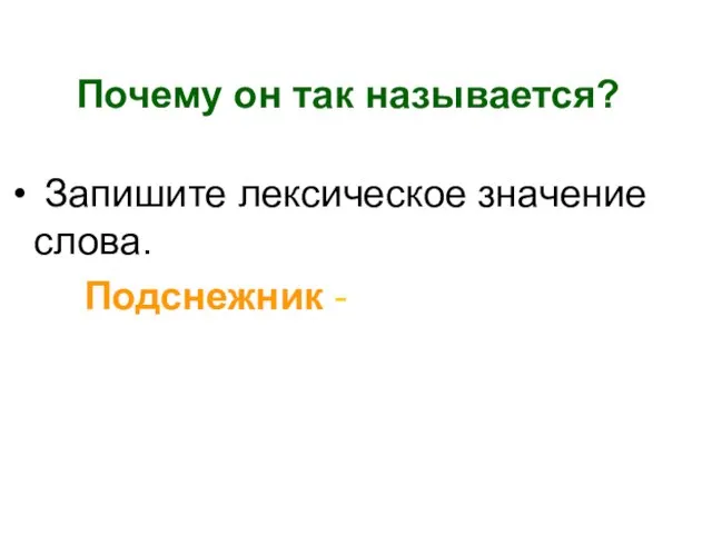 Почему он так называется? Запишите лексическое значение слова. Подснежник -