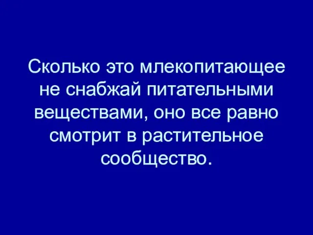 Сколько это млекопитающее не снабжай питательными веществами, оно все равно смотрит в растительное сообщество.