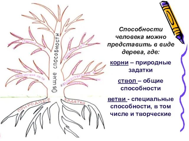 Способности человека можно представить в виде дерева, где: корни – природные задатки