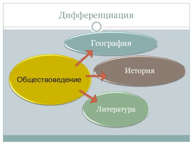 Дифференциация Обществоведение