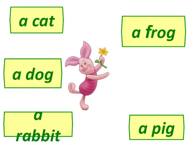 a rabbit a dog a cat a frog a pig
