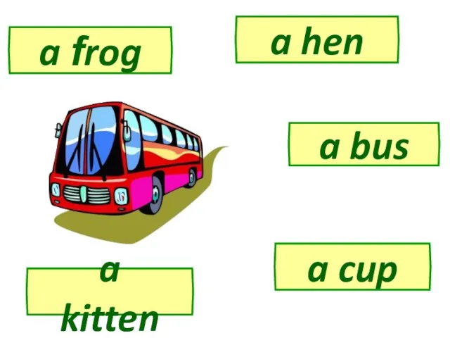 a kitten a frog a hen a bus a cup