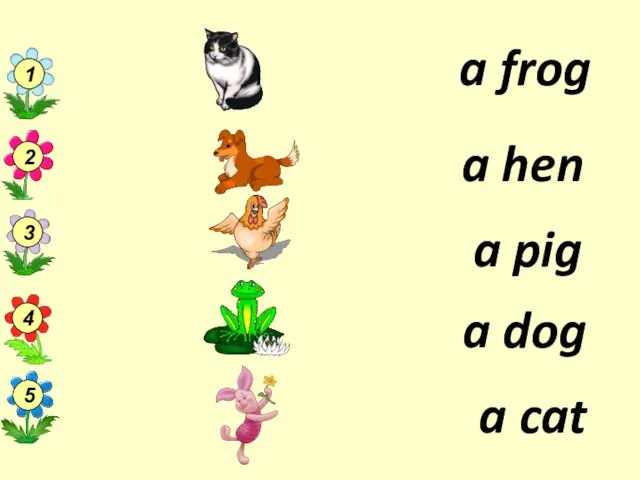 a hen a cat a pig a frog a dog