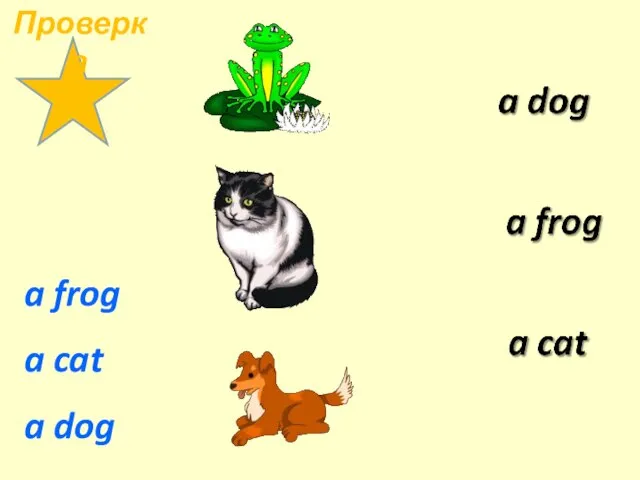 a frog a cat a dog Проверка