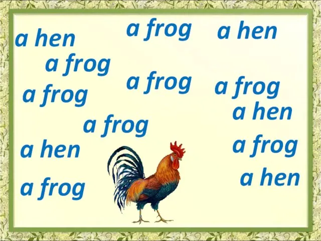 a frog a frog a frog a frog a frog a frog