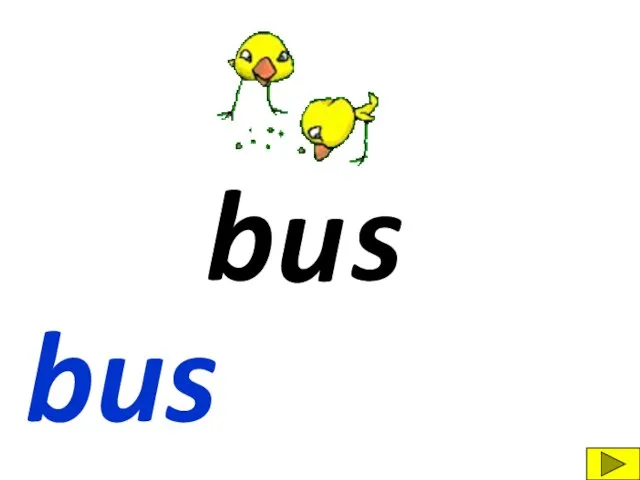 b s u bus