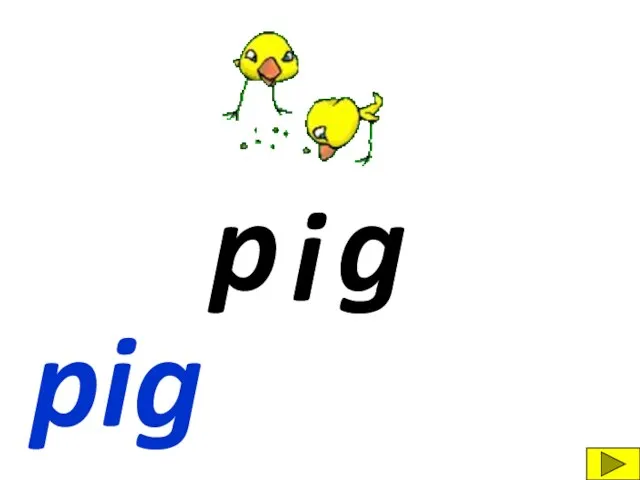 p g i pig