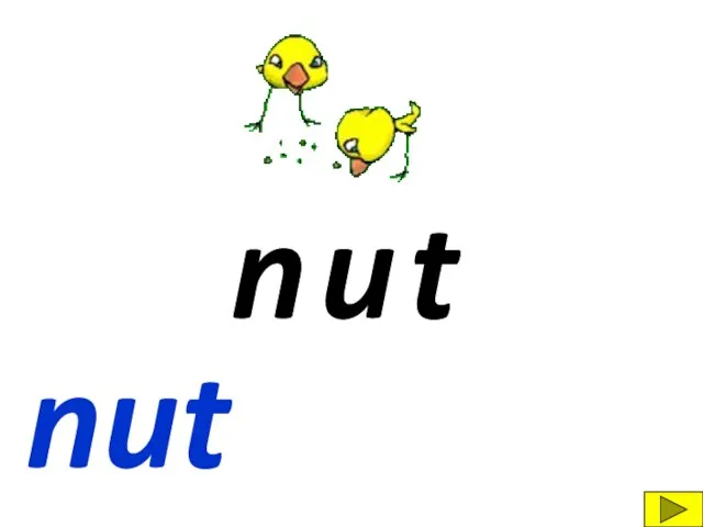 n t u nut