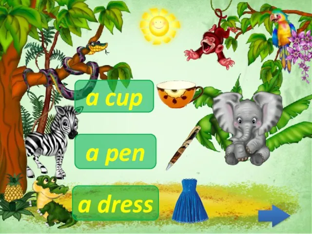 a dress a cup a pen