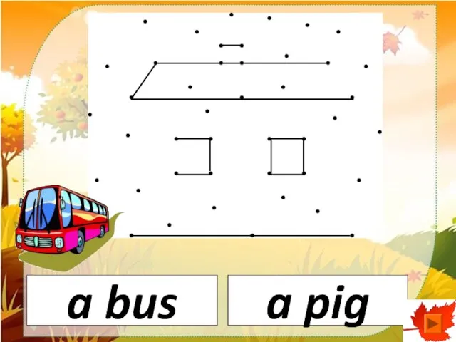 a bus a pig