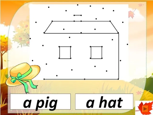 a pig a hat