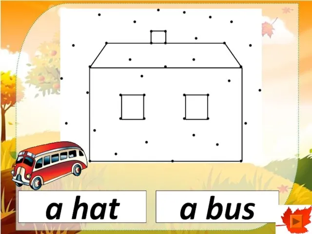 a bus a hat