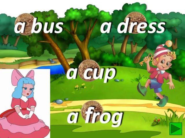 a frog a dress a cup a bus