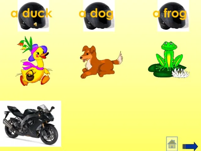 a frog a dog a duck