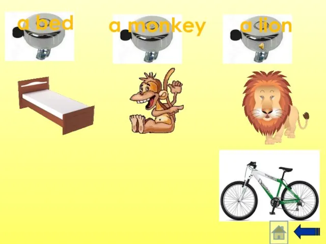 a lion a monkey a bed