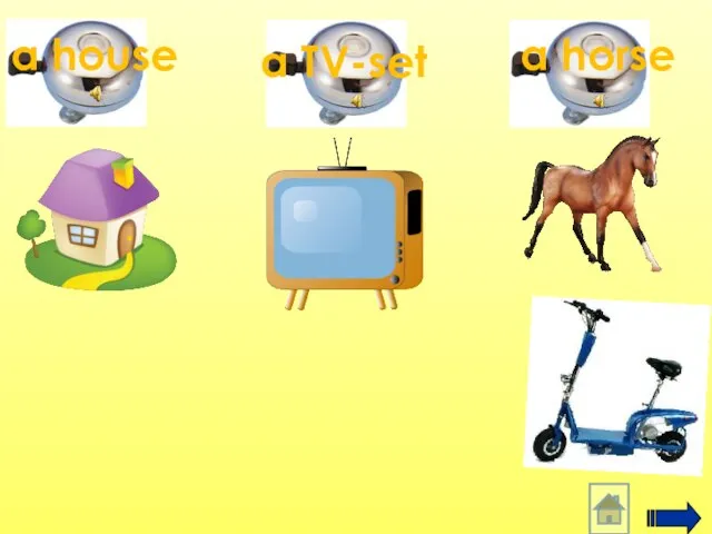 a horse a TV-set a house