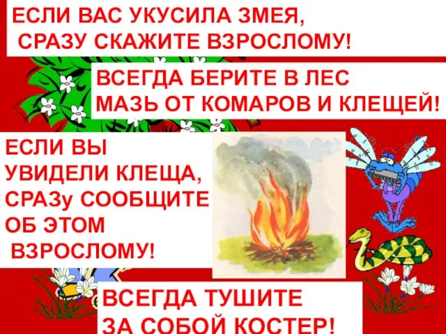 ЕСЛИ ВАС УКУСИЛА ЗМЕЯ, СРАЗУ СКАЖИТЕ ВЗРОСЛОМУ! ВСЕГДА БЕРИТЕ В ЛЕС МАЗЬ