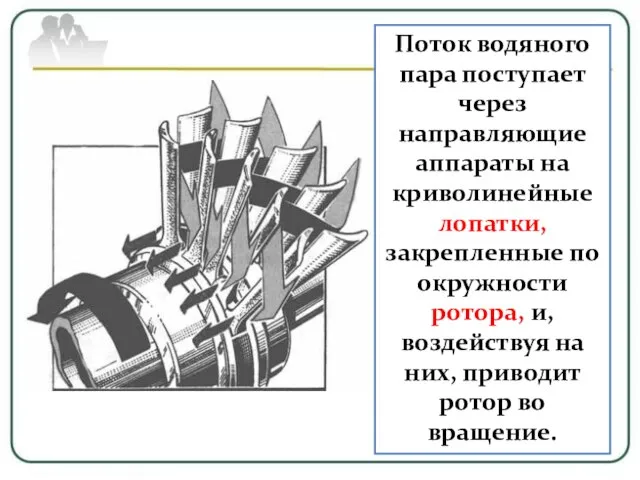 Поток водяного пара поступает через направляющие аппараты на криволинейные лопатки, закрепленные по