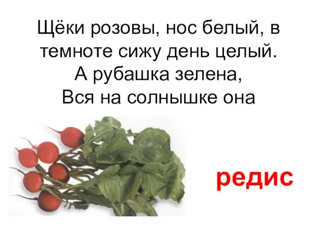 Щёки розовы, нос белый, в темноте сижу день целый. А рубашка зелена,