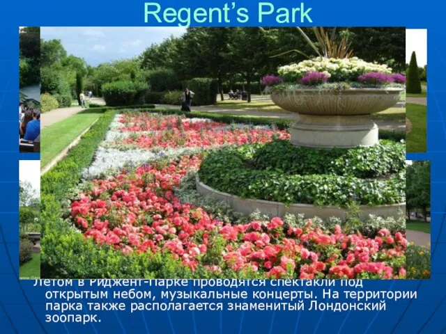 Regent’s Park Летом в Риджент-Парке проводятся спектакли под открытым небом, музыкальные концерты.