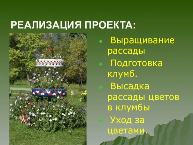 РЕАЛИЗАЦИЯ ПРОЕКТА: Выращивание рассады Подготовка клумб. Высадка рассады цветов в клумбы Уход за цветами.