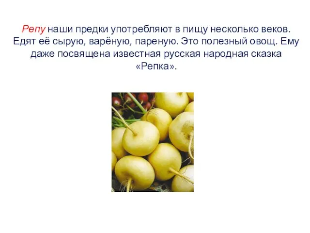 Репу наши предки употребляют в пищу несколько веков. Едят её сырую, варёную,