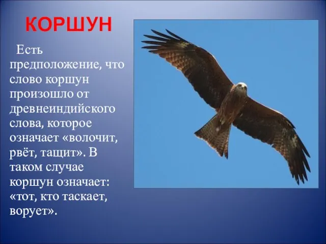 КОРШУН Есть предположение, что слово коршун произошло от древнеиндийского слова, которое означает