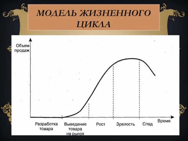 Модель жизненного цикла