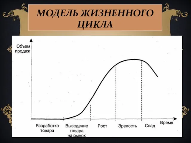 МОДЕЛЬ ЖИЗНЕННОГО ЦИКЛА