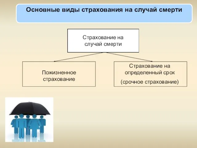 Основные виды страхования на случай смерти Страхование на случай смерти Пожизненное страхование