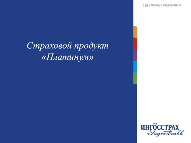 Название главы Страховой продукт «Платинум»