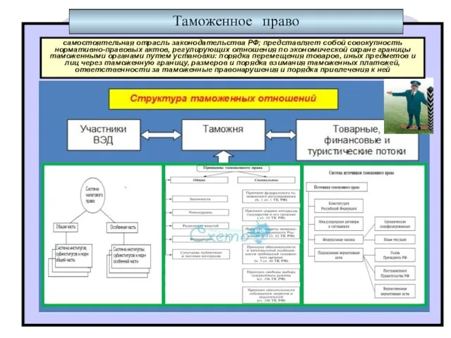 * Таможенное право самостоятельная отрасль законодательства РФ; представляет собой совокупность нормативно-правовых актов,