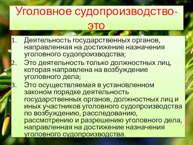 Уголовное судопроизводство- это Деятельность государственных органов, направленная на достижение назначения уголовного судопроизводства;