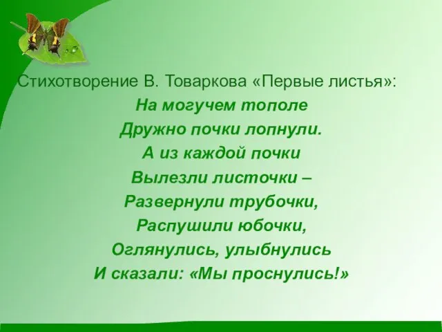 Стихотворение В. Товаркова «Первые листья»: На могучем тополе Дружно почки лопнули. А