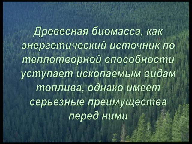 Древесная биомасса, как энергетический источник по теплотворной способности уступает ископаемым видам топлива,