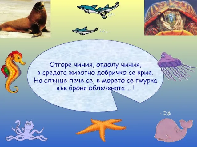 Отгоре чиния, отдолу чиния, в средата животно добричко се крие. На слънце