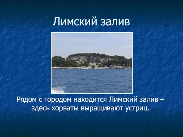 Лимский залив Рядом с городом находится Лимский залив – здесь хорваты выращивают устриц.